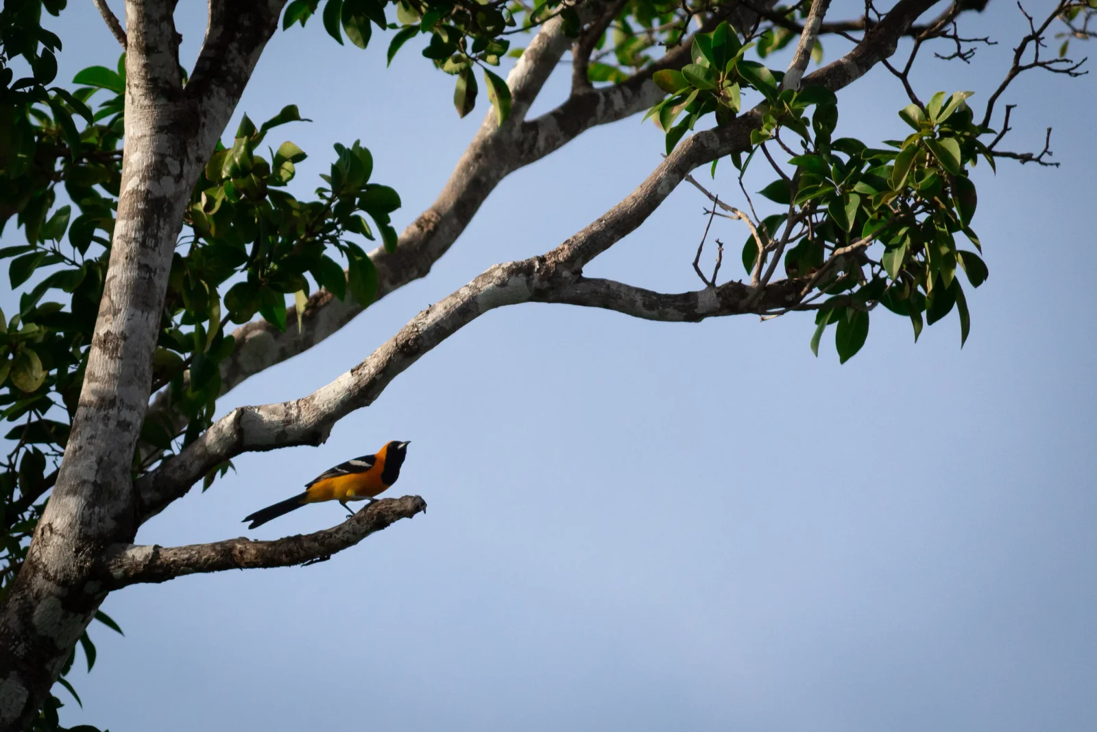 nature photography by JRMGraphy